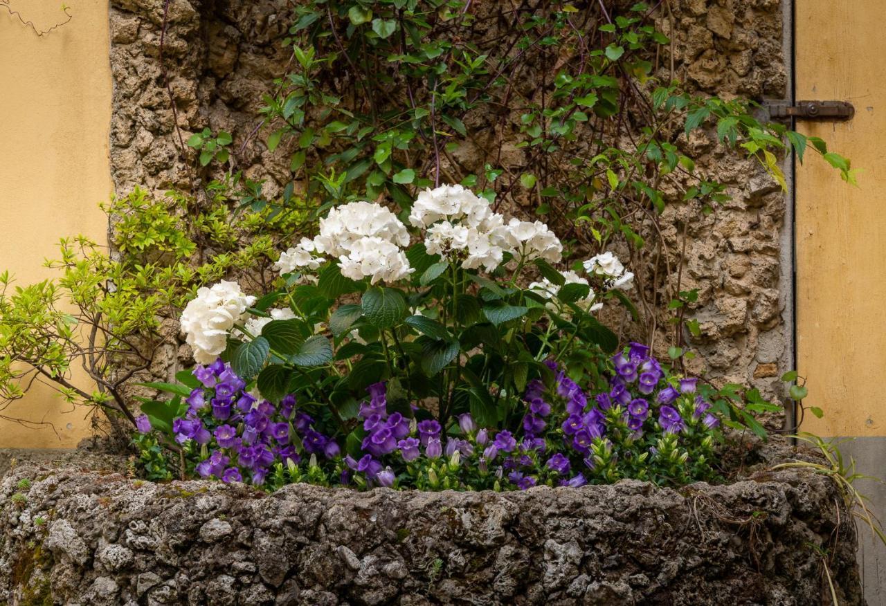 Residenza Il Villino B&B Φλωρεντία Εξωτερικό φωτογραφία